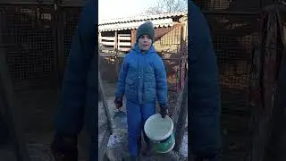Prezentare animalelor 