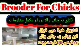 Wood Brooder For Poultry Farm In Pakistan| How To Make A Wood Brooder For Poultry Farming In Karachi