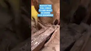 The Ugly Truth About Water Damage: Tile Shower Demo Revealed!