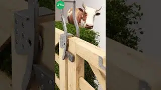 Sliding gate field latch #latch #gate #cattle #farm