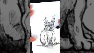 Dog Sketch #shorts