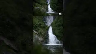 #wildlifeexperience