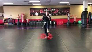 Lead Leg Front Snap Kick to Jump Front Snap Kick