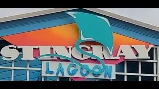 Stingray Lagoon 4k Tour : Seaworld Orlando