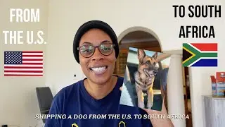 shipping a pet from the U.S. to South Africa | Dee in South Africa