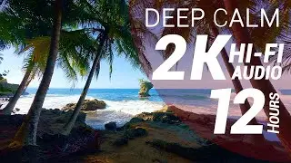 Waves Sounds - Caribbean Beach (2K - Hi-Fi Audio - No Talking)