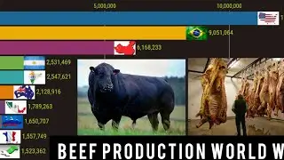 Top 10 most beef meat production countries world wide(1961-2018)