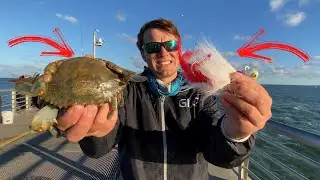 Уникальные приманки для ловли гигантских рыб! (Залив Себастьян)