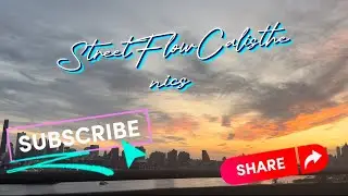 From the Streets to the Zoo: StreetFlow Calisthenics