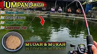 🔥 UMPAN LAWASAN TANPA KROTO, ESSEN & TELUR ! IKAN LANGSUNG LAHAP