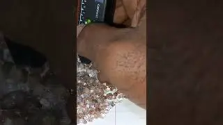 sugar diamond for sale