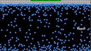 A Molecular Simulation of Evaporation and Condensation