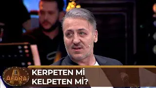 Kerpeten mi Kelpeten mi? - Afara
