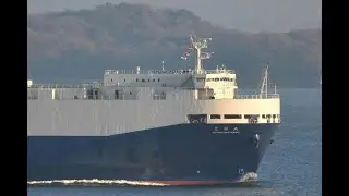 自動車運搬船「豊福丸」試運転　令和8年1月7日