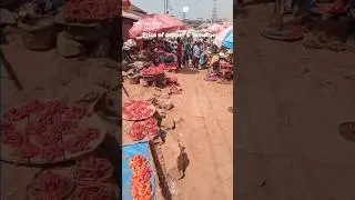 Price of pepper & tomatoes #short #food #ibadanmarket