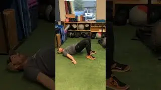 Hamstring Walk Outs