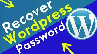 How to recover Wordpress 6.0.1 Username and Password on Localhost Using PHPmyadmin
