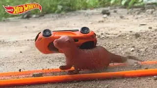 Hot Wheels Crash Koenigsegg Gemera Vs Beaver