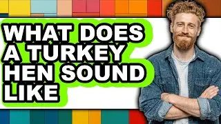 What Does a Turkey Hen Sound Like - Answered