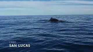 CABO SAN LUCAS DIC 2025