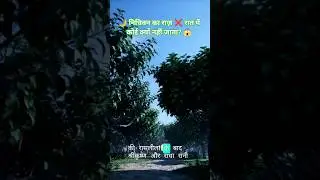 😱 निधिवन का रहस्य! क्यों बंद हो जाता है मंदिर रात में? 🌙 | Vrindavan Nidhivan Story ✨ #shorts