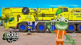 Gecko's BIG CRANE Adventure - Gecko's Real Vehicles | Trucks For Kids | Learning For Toddlers