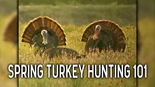 Spring Turkey Hunting 101 with Knight & Hale Game Calls