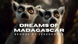 [REGGAE] - Dreams of madagascar