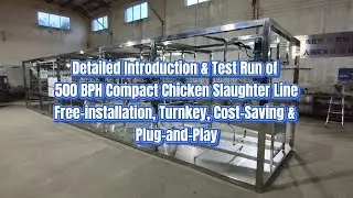 500 BPH Compact Poultry Chicken Slaughtering Line &ndash; Free Installation | Turnkey & Plug and Play Demo