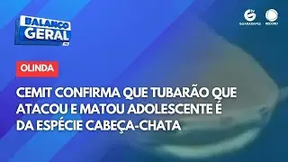 CEMIT confirma que tubarão que atacou e matou adolescente é da espécie cabeça-chata