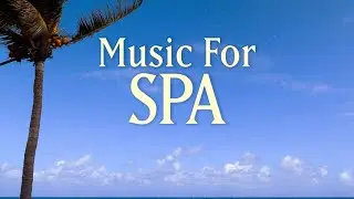 8 HOURS SPA MUSIC PLAYLIST - Healing Arts, Massage & Meditation - with Earth Resonance Frequency