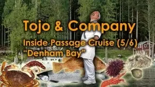 Inside Passage Cruise (5/6 - Denham Bay)