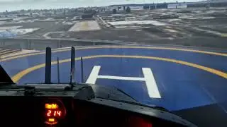 Lynx landing