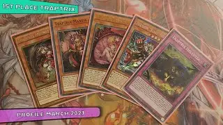 YUGIOH 1st PLACE TrapTrix Profile   March 2023