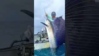 Catch & Release IN A KAYAK!