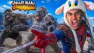 حرب الغوريلات ( جاروك ) و ( كونجا ) بدأت قدامنا!! 🦍😱🕸️ / Bassem Otaka / اوتاكا