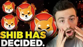 Why Shiba Inu is Ready to ROCKET! Shiba Inu's New Trajectory is INSANE! (Shiba Inu Cryptocurrency)