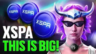 XSPA Full Tutorial 2025: Explained for Beginners