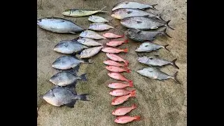 Offshore Fishing Off Jacksonville at 