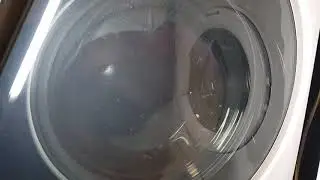 Candy Bianca damaged in transit (being replaced)