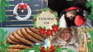 VLOGMAS: Wędzenie, spacery i dekorowanie ogrodu🎄/ Migusińska