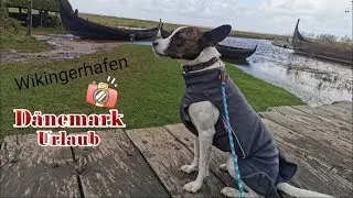 Wikingerhafen // Hundewald // Urlaub Dänemark mit Hund // unsere Flitterwochen