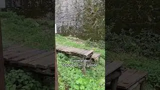 ❗️L'ERRORE PI&Ugrave; GRAVE DA EVITARE SUI DROP
