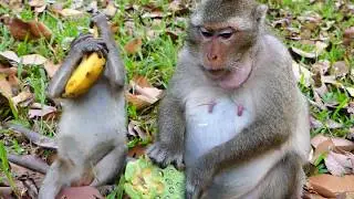 We are Waiting Cute Baby Of Diamond