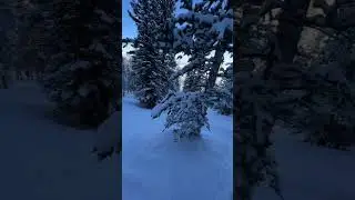 Aspen Snowmass is a snowboarders heaven #aspensnowmass #colorado #snowboarding #aspen #rockies