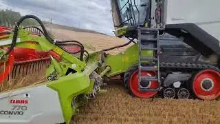 Harvest 2022 Claas Lexion 550TT with Convio 770 presenting the winter barley head first.