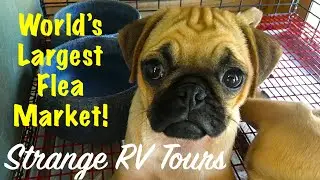 Worlds Largest Flea Market - Canton, TX (#580)