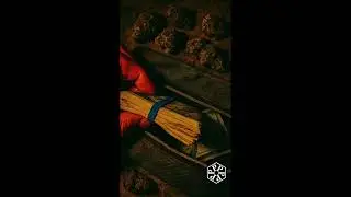 SCARR - iHustle