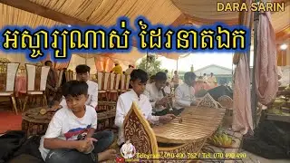 បទ បុប្ផាមាស | ខ្មែរបំពេរកូន Cambodia pin peat music 🎶 DARA SARIN ប្រគំកំដរ