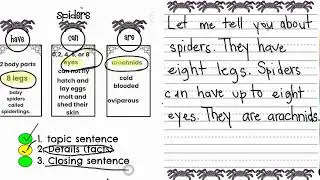 PART 2: Genre Writing Lesson for Beginning Writers- Informational (Using Step Up to Writing Program)